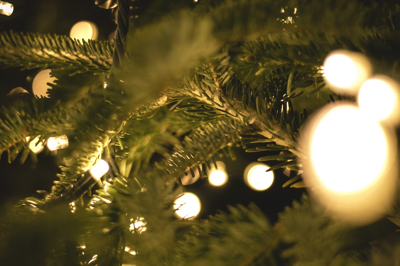 POSTPONED: Chamber of Commerce to host Annual Holiday Tree Lighting in Downtown Rochester