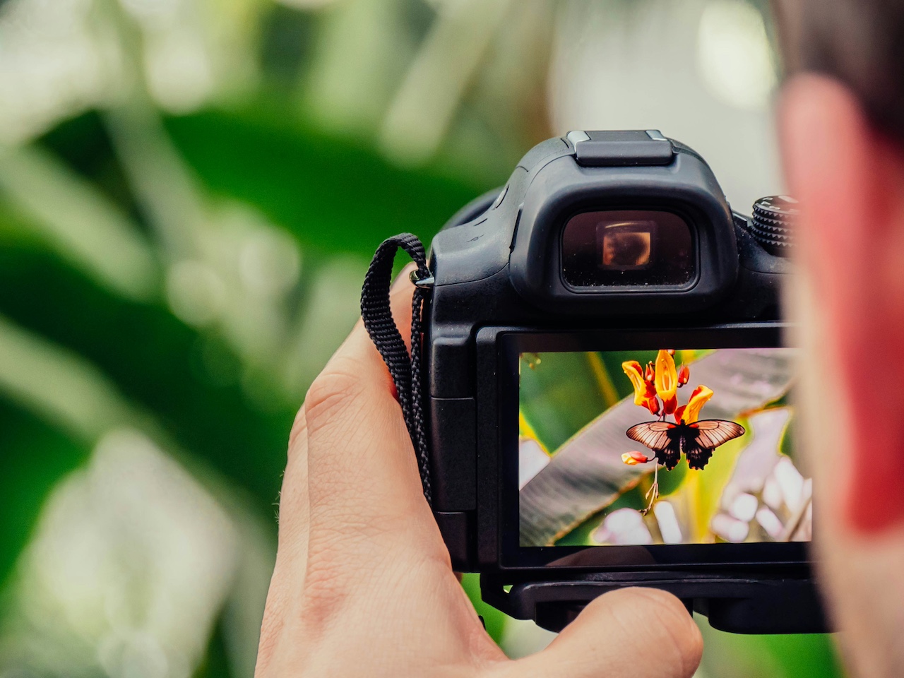 NH Association of Conservation Commissions seeks local photographers for “This is Worth Protecting” contest