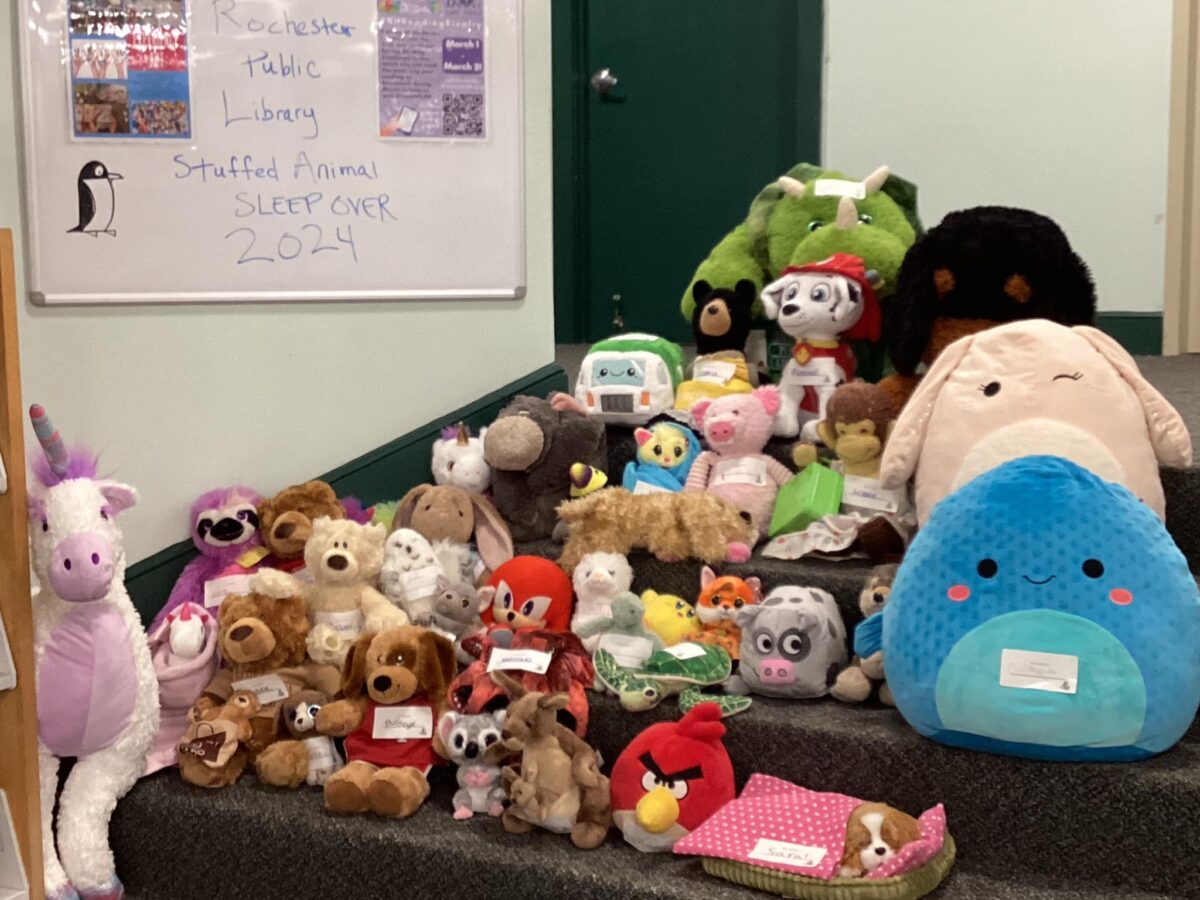 Rochester Public Library’s Stuffed Animal Sleepover Extended Due to Winter Storm