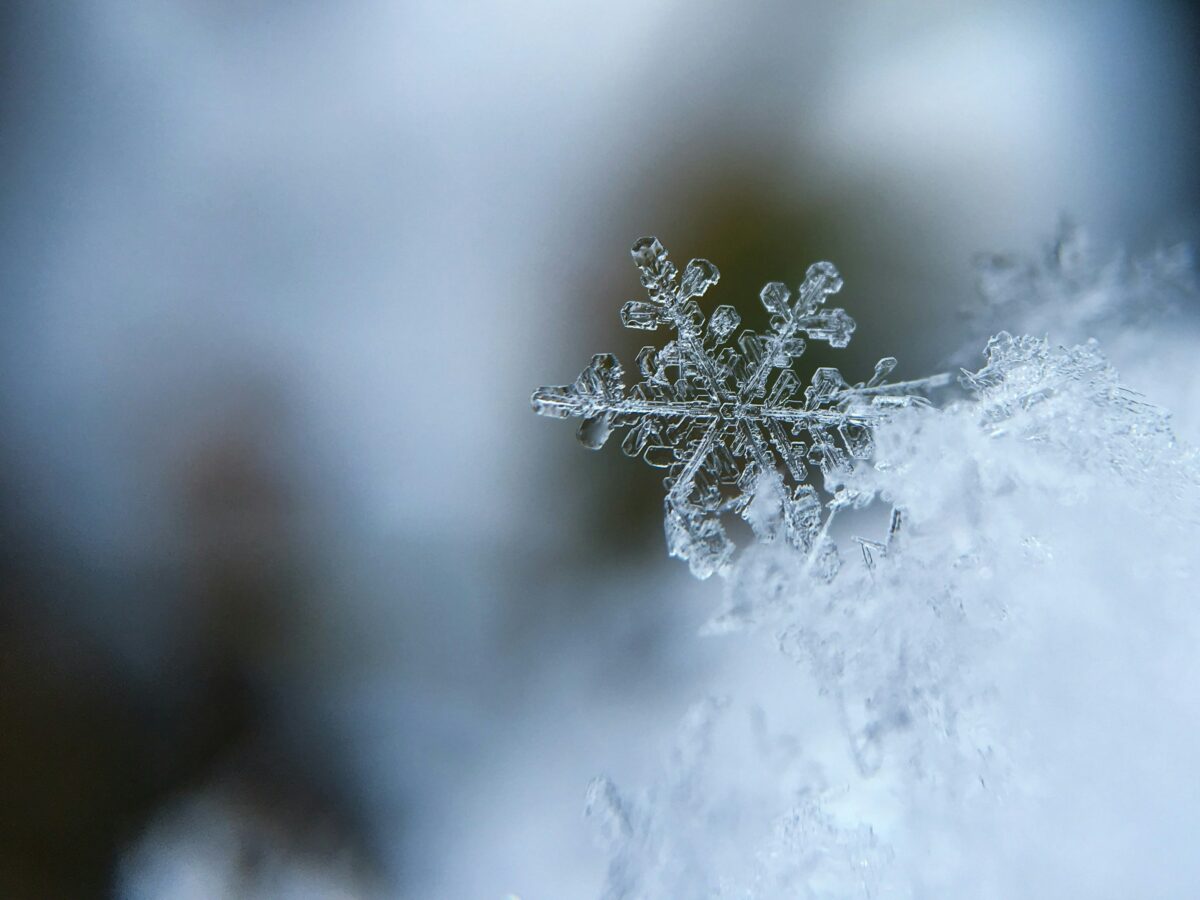 Family-friendly Winter Festival scheduled for the Rochester Common on 1/25